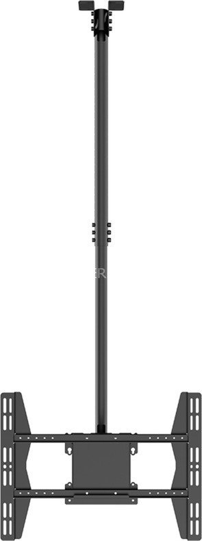 Hagor držiak sufitowy HAG8602 49'' - 65''