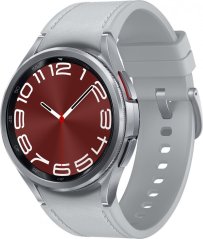 Samsung Galaxy Watch 6 Classic Stainless Steel 43mm Sivý (SM-R950NZSAEUE)