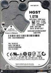 WD Ultrastar DC HA210 1TB 3.5'' SATA III (6 Gb/s)  (1W10113)