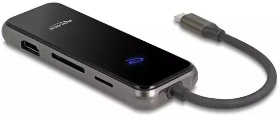 Delock USB-C / Thunderbolt (92001)