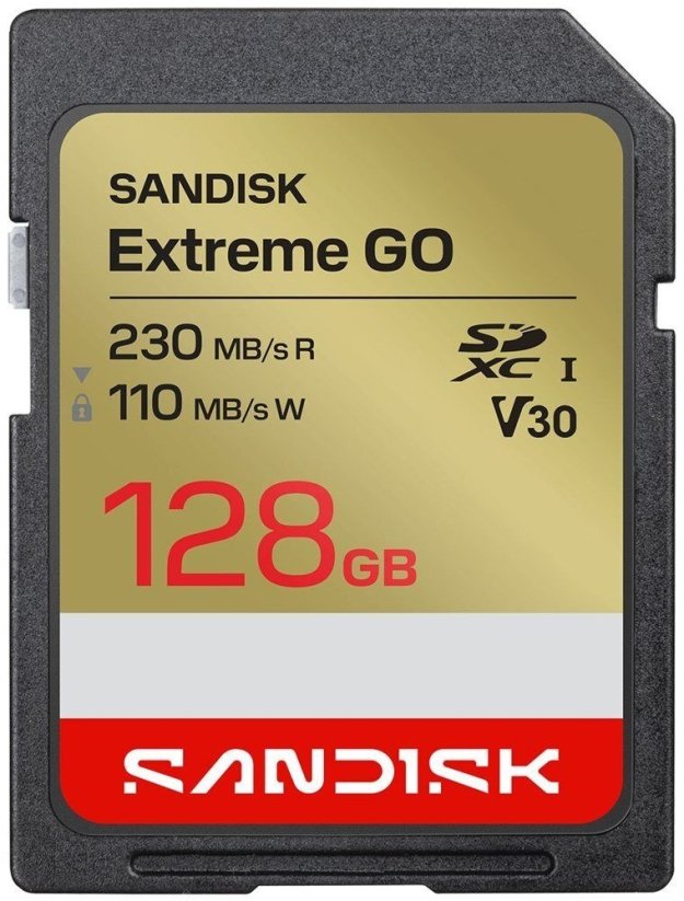 SanDisk Extreme GO SDXC 128 GB UHS-I/U3 V30 (SDSDXGN-128G-GNCIN)