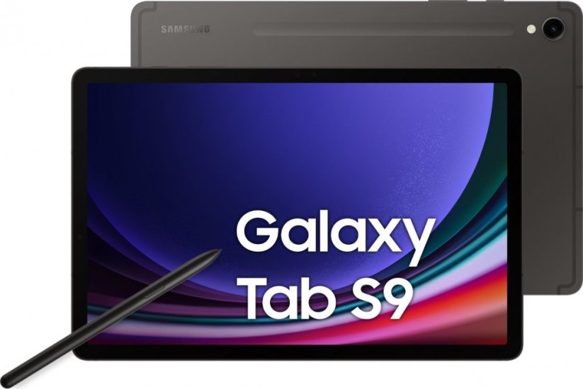 Samsung Tablet Samsung Galaxy Tab S9 WiFi 8GB/128GB Sivý