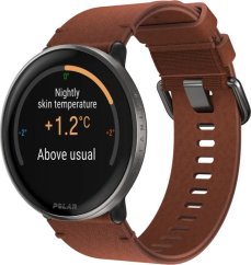 Polar Ignite 3 Titanium Brown
