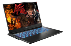 Dream Machines RX4090-17PL35 i9-14900HX / 16 GB / 1 TB / RTX 4090 / 240 Hz