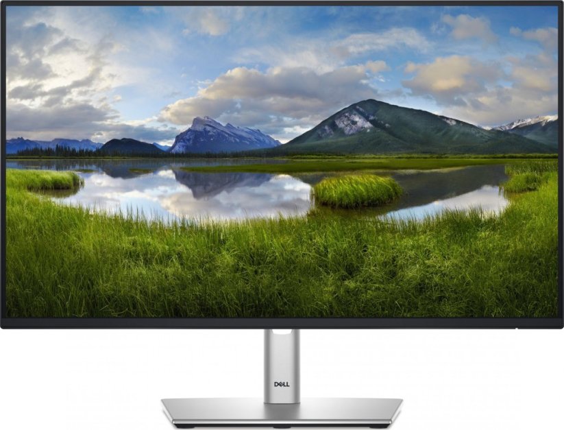Dell 24 inch - Full HD IPS LED