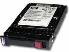 HP 300GB 2.5" SAS (492620-B21)