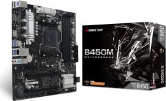 Biostar Płyta główna BIOSTAR B450MXS
