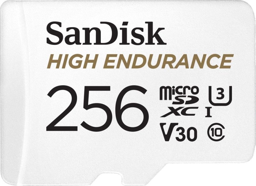 SanDisk High Endurance MicroSDXC 256 GB Class 10 UHS-I/U3 V30 (SDSQQNR-256G-GN6IA)