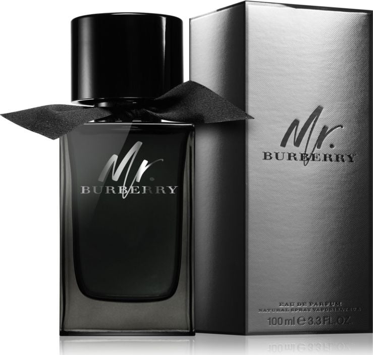 Burberry Mr. Burberry EDP 100 ml MEN