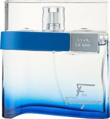 Salvatore Ferragamo F By Feregamo Free Time EDT 100 ml MEN
