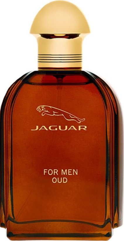 Jaguar For Men Oud EDP 100 ml MEN