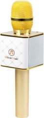 Technaxx MusicMan Karaoke (BT-X31GOLD)