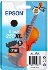 Epson 250XL - 10.2 ml - XL - Čierny - original - opakowanie blistrowe - Tintenpatrone - do P/N: C11CL95402