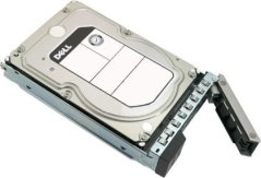 Dell 4TB 3.5'' SATA III (6 Gb/s)  (161-BBRL)