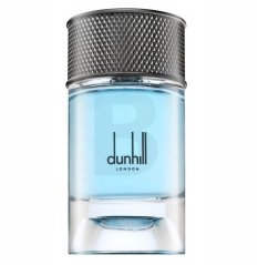 Dunhill Dunhill Signature Collection Nordic Fougere EDP M 100 ml MEN
