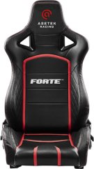 FlorPad Asetek SimSports Initium Forte Seat