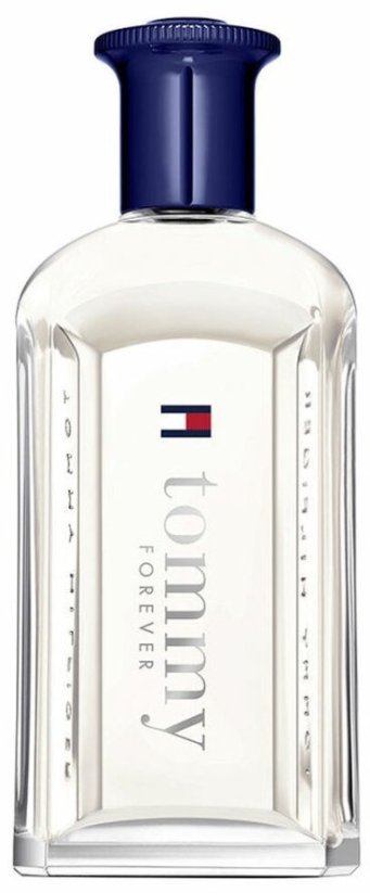 Tommy Hilfiger Perfumy Pánske Tommy Hilfiger TOMMY FOREVER EDT 100 ml MEN