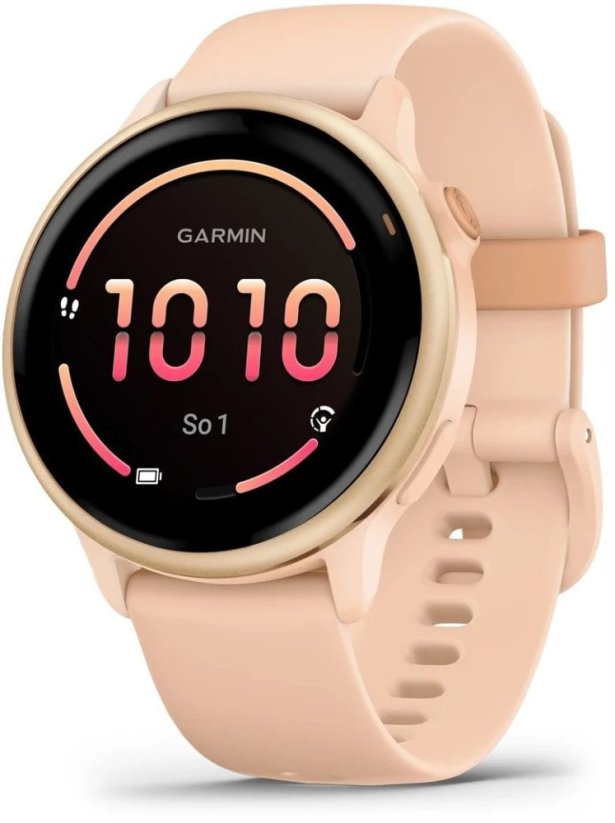 Garmin Vivoactive 6 dawn/metallic (010-02985-03)