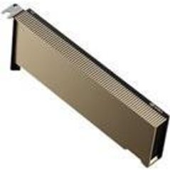 PNY Grafikkarte NVIDIA A2 16GB PCle 4.0 low Profile GPU bulk