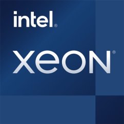 Intel Xeon E-2388G, 3.2 GHz, 16 MB, OEM (CM8070804494617)