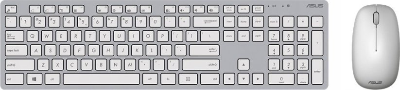 Asus Asus W5000 Biely