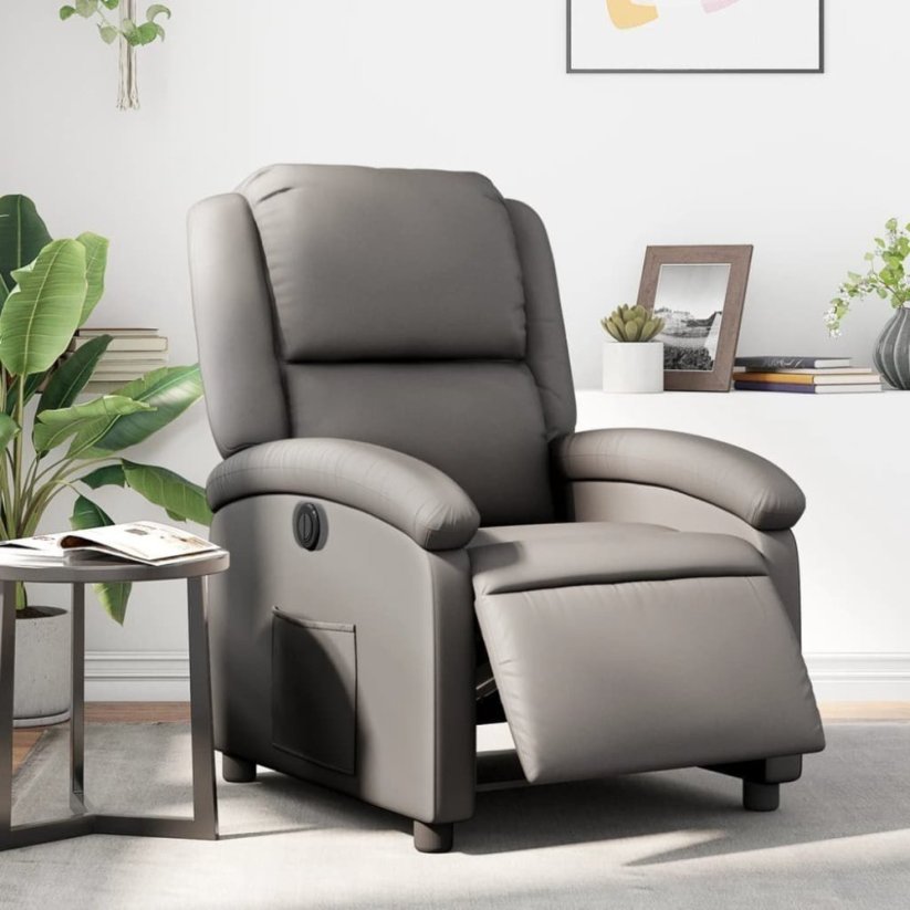 vidaXL elektrickýfotel rozkładany, Sivý, obity skórą naturalną Lumarko!
