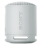 Sony SRS-XB100 sivý (SRSXB100H.CE7)