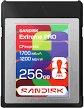 SanDisk FIFA World Cup 2026 Edition CFexpress 256 GB  (SDCFE-256G-GF4NN)
