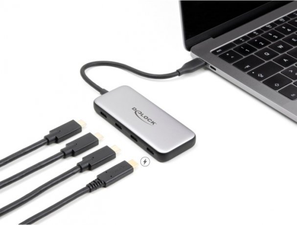 Delock USB 10 Gbps USB Type-C Hub with 4 x USB Type-C, USB hub (grey)