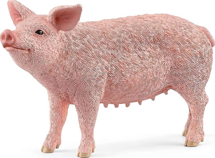 Schleich Świnia