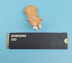 Dell SSDR,1TB,G44,80S3,SMSNG,PM9A1