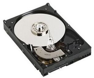 Dell Twardy 500 GB 7200 RPM 3.5" SATA III (2PKVY)