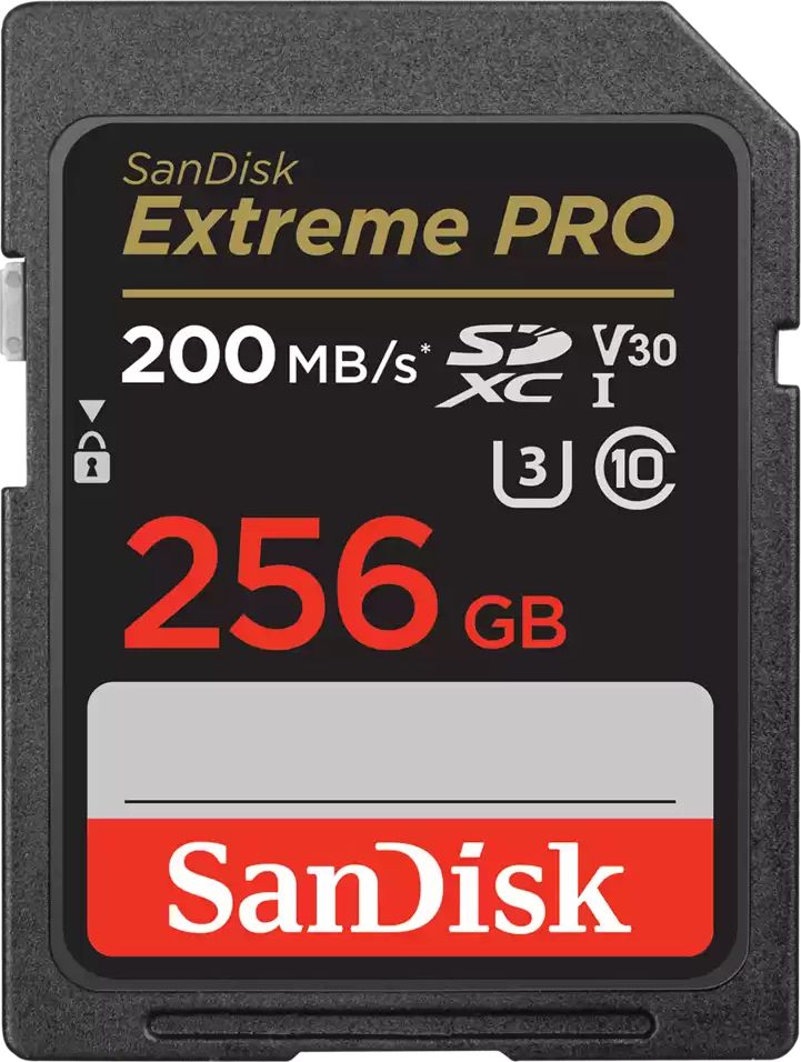 SanDisk Extreme PRO SDXC 256 GB Class 10 UHS-I/U3 V30 (SDSDXXD-256G-GN4IN)