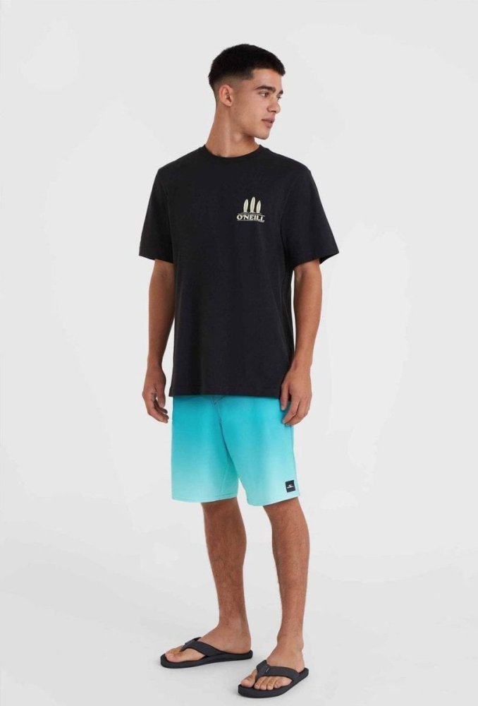O Neill Pánske Tričko z krótkim rukávem O'NEILL BEACH GRAPHIC T-SHIRT